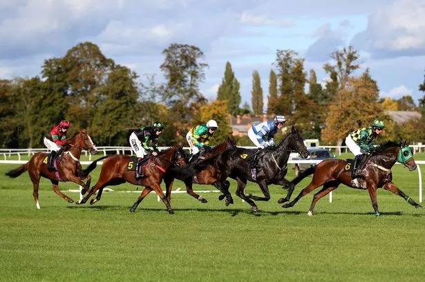 Newsboy's Nap, Salamanca Bay, runs at Worcester in the 2.30