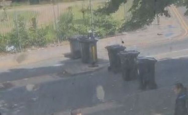 Bins have blocked the road