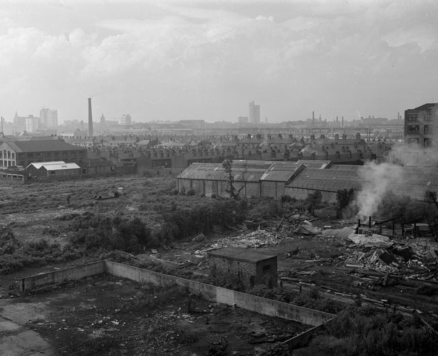 Ardwick Cemetery, Manchester, during the clearing. August 1962