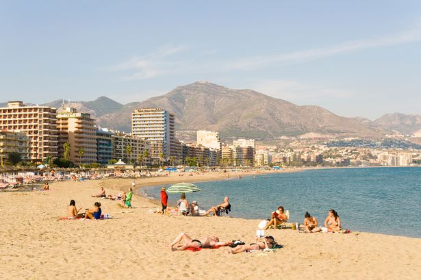 people on the beach in the sun