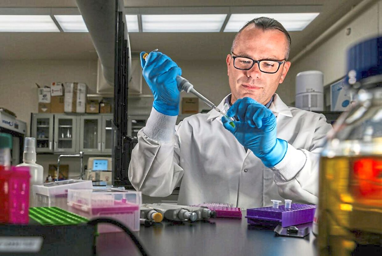 This genetic pathway could be one cause of autism