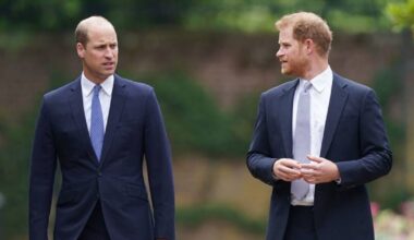 Harry 'picked hotel near Williams home in bid to force peace talks' - Celebrity News - Entertainment