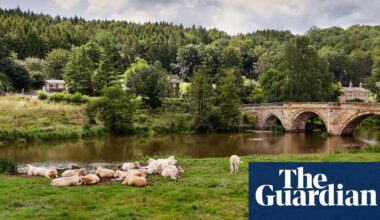 Country diary: A springtime with an ending | Environment