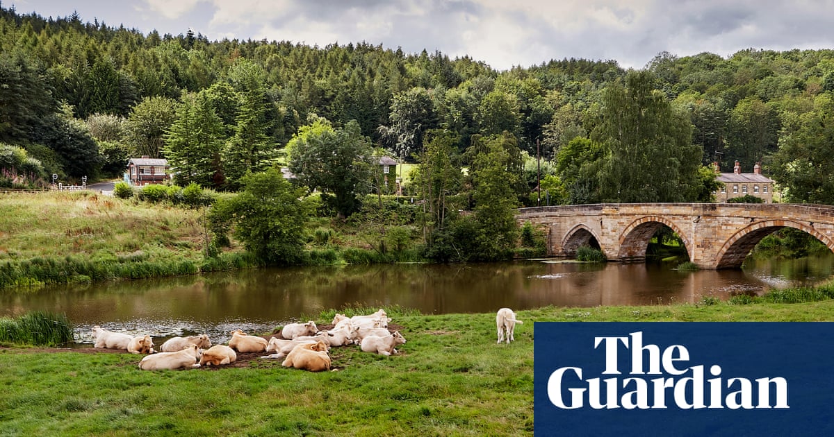Country diary: A springtime with an ending | Environment