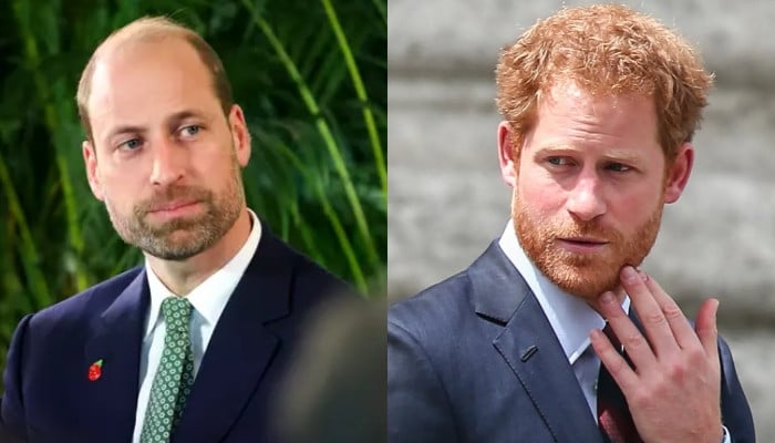 Prince William, Harry may stay estranged 'forever' as royal feud deepens