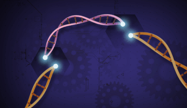 Fixing A Fatal Genetic Defect In Babies With A Bit Of Genetic Modification