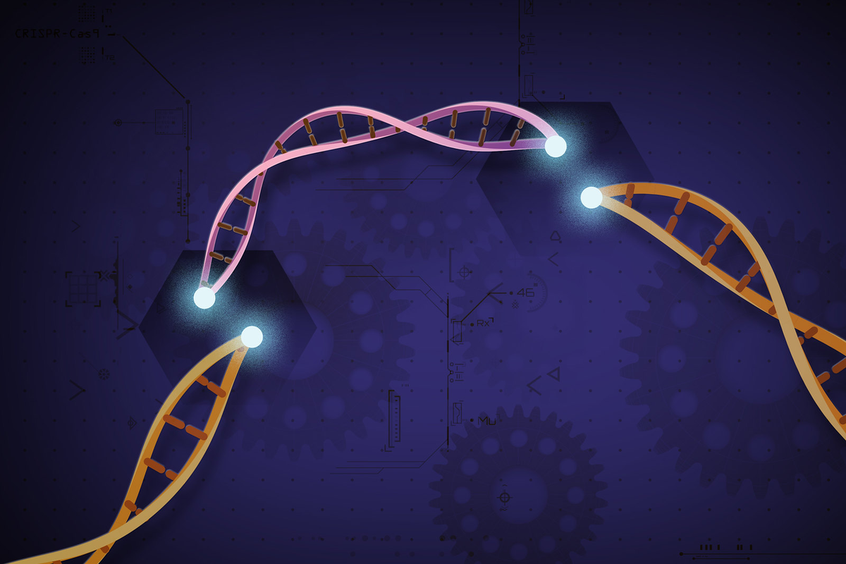 Fixing A Fatal Genetic Defect In Babies With A Bit Of Genetic Modification