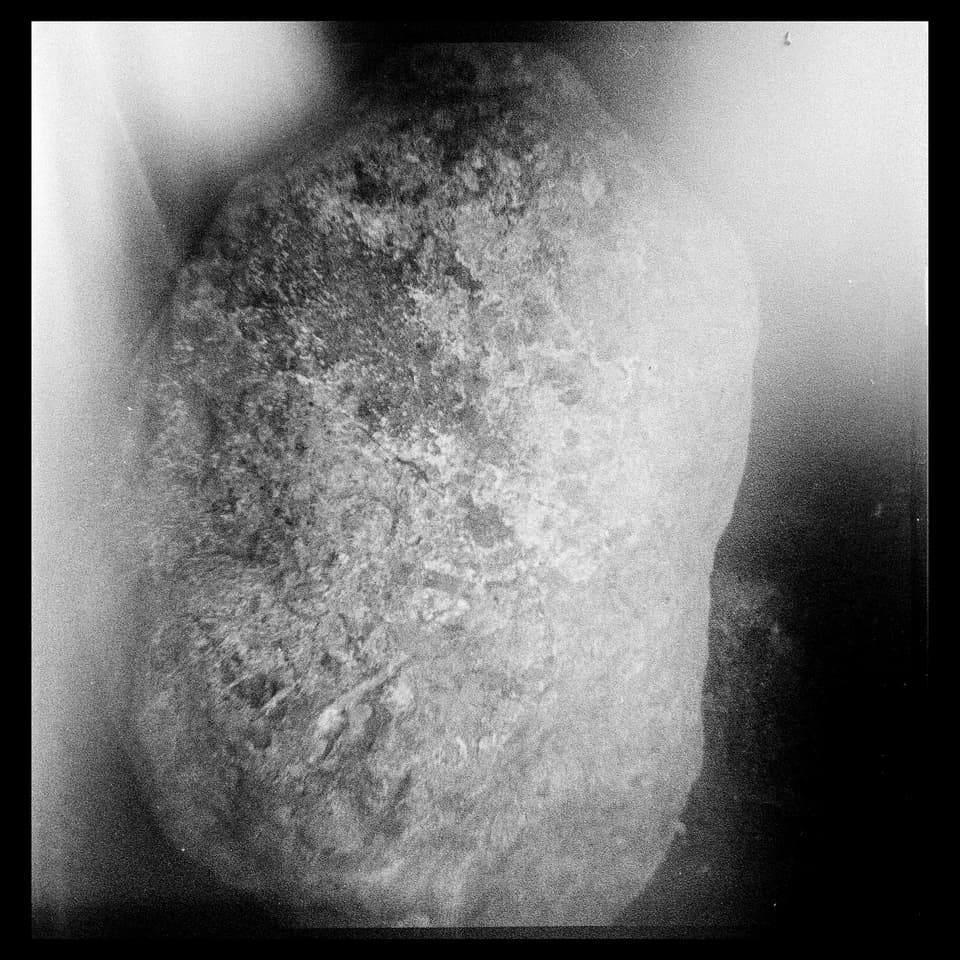 Mohammad Ghazali The Stone Knows
