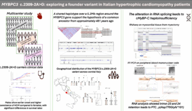 MYBPC3 c.2309-2A>G: exploring a founder variant in Italian hypertrophic cardiomyopathy patients