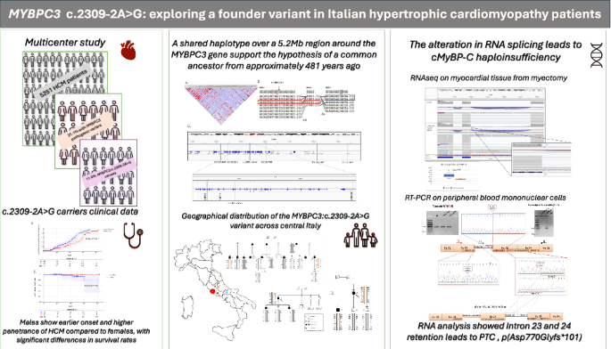 MYBPC3 c.2309-2A>G: exploring a founder variant in Italian hypertrophic cardiomyopathy patients
