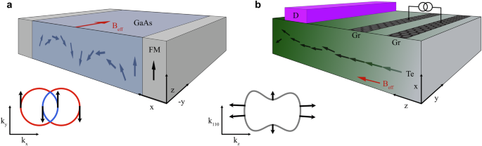 Efficient spin accumulation carried by slow relaxons in chiral tellurium