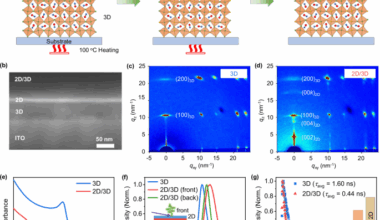 Spin detector for panchromatic circularly polarized light detection