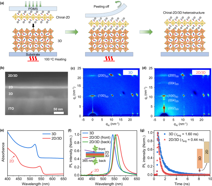 Spin detector for panchromatic circularly polarized light detection
