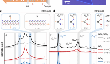 Moiré collective vibrations in atomically thin van der Waals superlattices