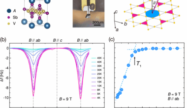 Probing orbital magnetism of a kagome metal CsV3Sb5 by a tuning fork resonator