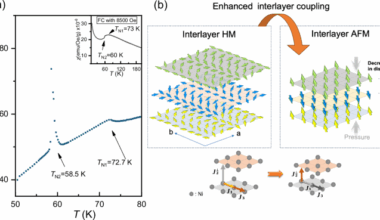 Surprising pressure-induced magnetic transformations from helimagnetic order to antiferromagnetic state in NiI2