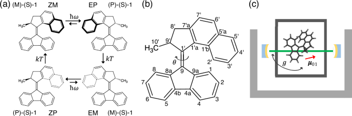 Dynamics of a light-driven molecular rotary motor in an optical cavity