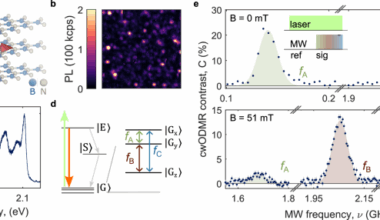 A single spin in hexagonal boron nitride for vectorial quantum magnetometry