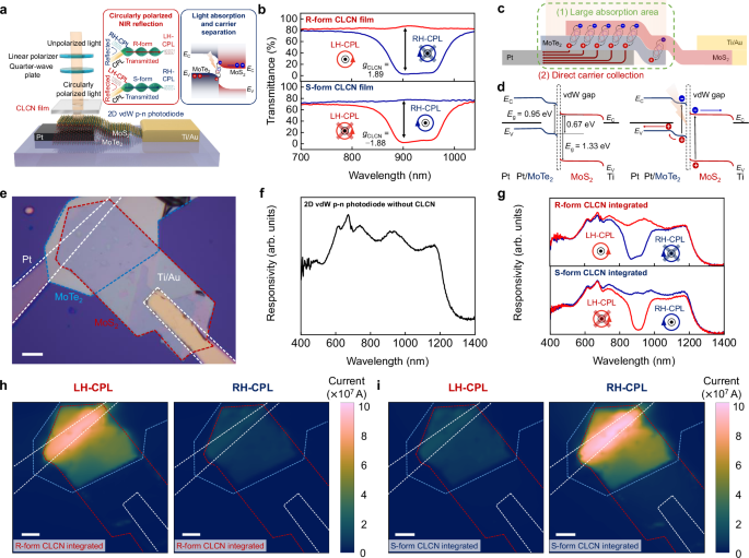 Polarization-sensitive in-sensor computing in chiral organic integrated 2D p-n heterostructures for mixed-multimodal image processing