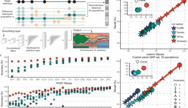 Tracing human genetic histories and natural selection with precise local ancestry inference