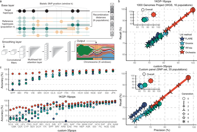 Tracing human genetic histories and natural selection with precise local ancestry inference