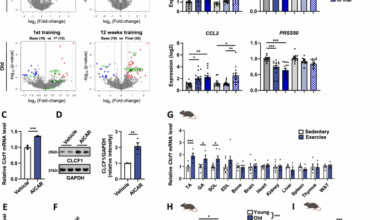 Exercise-induced CLCF1 attenuates age-related muscle and bone decline in mice