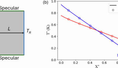 JAX-BTE: a GPU-accelerated differentiable solver for phonon Boltzmann transport equations