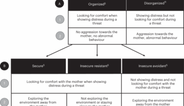 Evidence of organized but not disorganized attachment in wild Western chimpanzee offspring (Pan troglodytes verus)