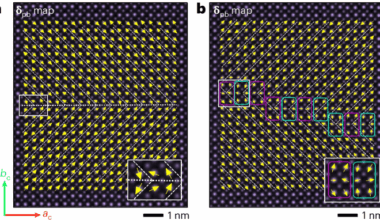Vortices and antivortices in antiferroelectric PbZrO3
