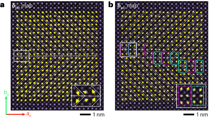 Vortices and antivortices in antiferroelectric PbZrO3