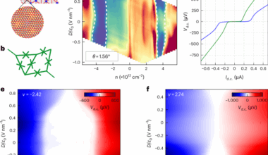 Superconducting magic-angle twisted trilayer graphene with competing magnetic order and moiré inhomogeneities