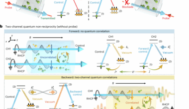 Chirality-induced quantum non-reciprocity | Nature Photonics