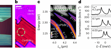 Continuous-wave nonlinear polarization control and signatures of criticality in a perovskite cavity