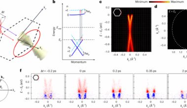 Observation of Floquet–Bloch states in monolayer graphene