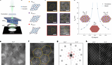 Robust supermoiré pattern in large-angle single-twist bilayers