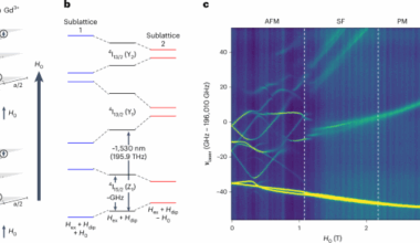 Long optical coherence times in a rare-earth-doped antiferromagnet