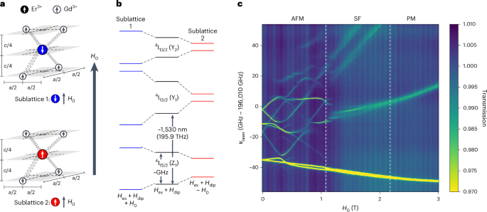 Long optical coherence times in a rare-earth-doped antiferromagnet