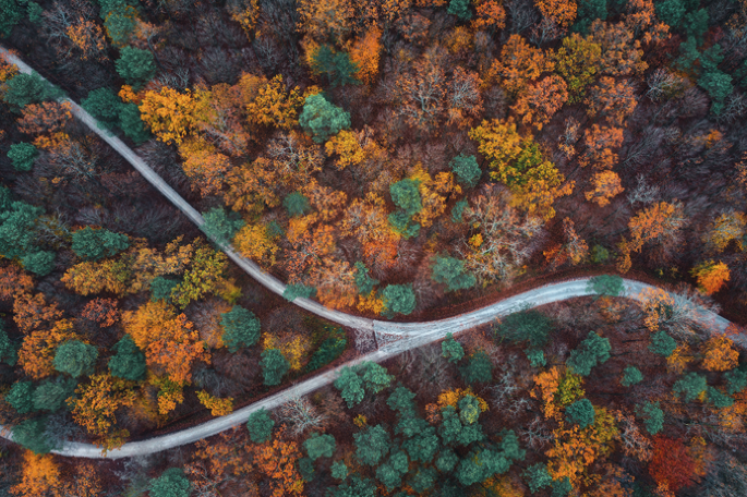 A crossroads in the timeline of human evolution