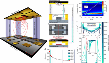 Tunable vacuum-field control of fractional and integer quantum Hall phases