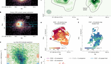 Quasar radiation transforms the gas in a merging companion galaxy