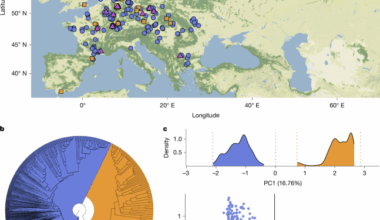 Two distinct host-specialized fungal species cause white-nose disease in bats