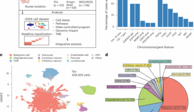The multilayered transcriptional architecture of glioblastoma ecosystems