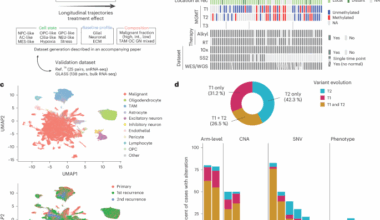 Deciphering the longitudinal trajectories of glioblastoma ecosystems by integrative single-cell genomics