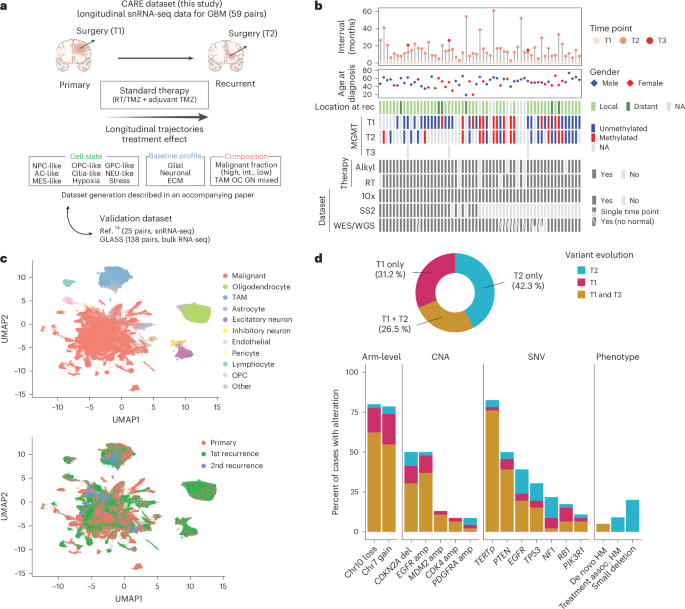 Deciphering the longitudinal trajectories of glioblastoma ecosystems by integrative single-cell genomics