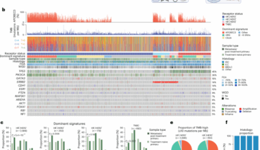 APOBEC3 mutagenesis drives therapy resistance in breast cancer