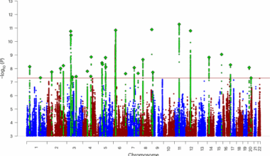 Genome-wide analyses identify 30 loci associated with obsessive–compulsive disorder