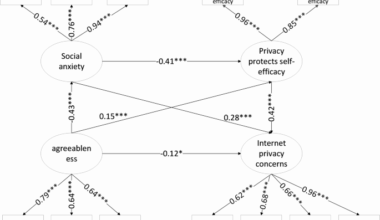 Personality traits Influence Internet Privacy Concerns through Social Anxiety and Privacy-Preserving Self-Efficacy