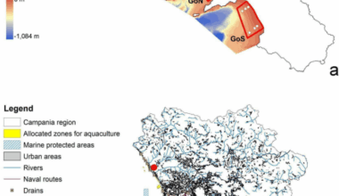 GIS-based integration of marine data for assessment and management of a highly anthropized coastal area