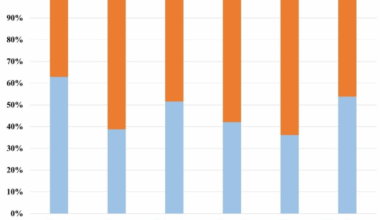 Smart neural network and cognitive computing process for multi task nuclei detection segmentation and classification in breast cancer histopathology images