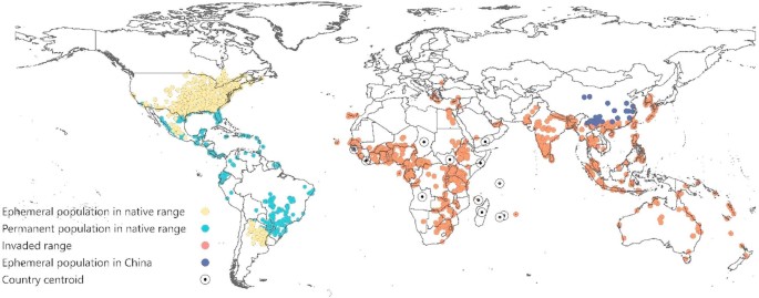 Migration extent and potential economic impact of the fall armyworm in Europe